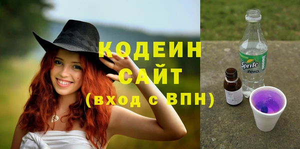 молекула духа Пересвет