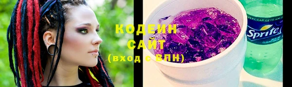 шишки Богородицк