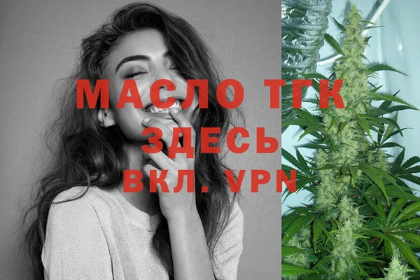 молекула духа Пересвет