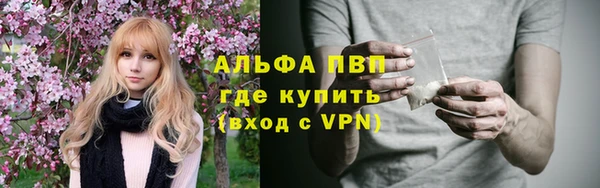 молекула духа Пересвет