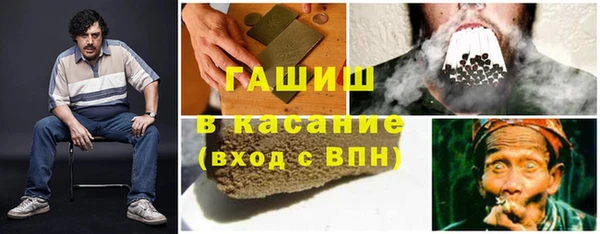 молекула духа Пересвет
