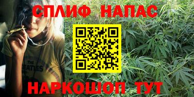 дурь Берёзовский