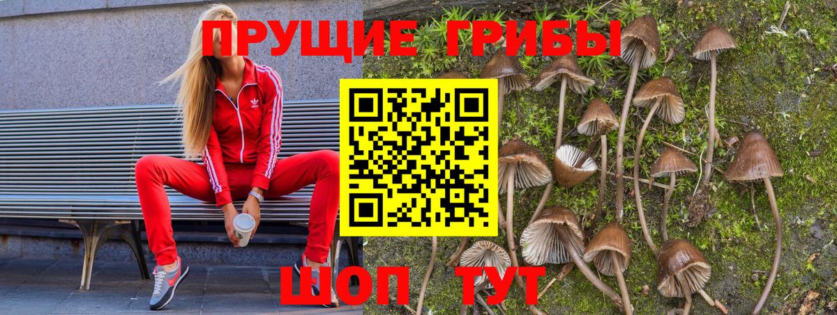 Галлюциногенные грибы Cubensis  Вход с VPN  Владивосток  Псилоцибиновые грибы Psilocybe 
