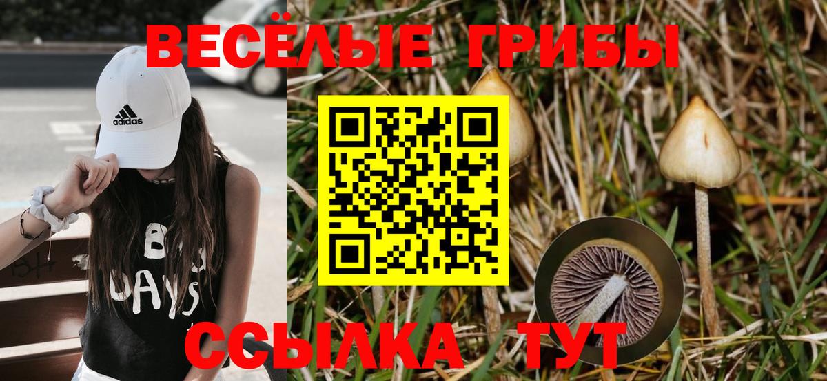 Галлюциногенные грибы мицелий Владивосток