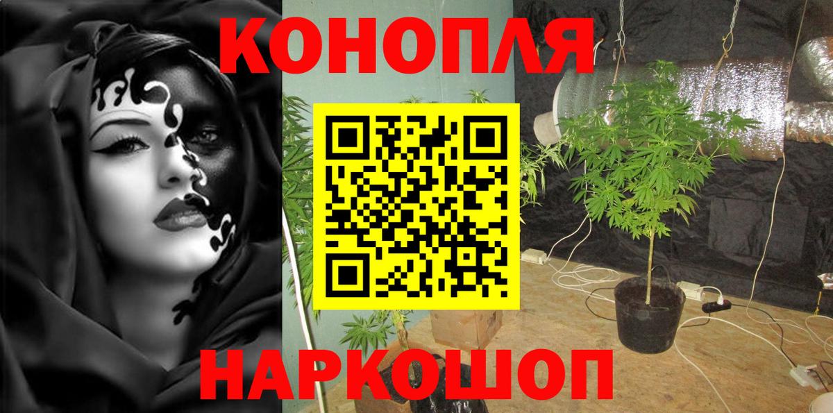 Конопля марихуана  Канабис тримм  Владивосток  Конопля семена  Вход с VPN 